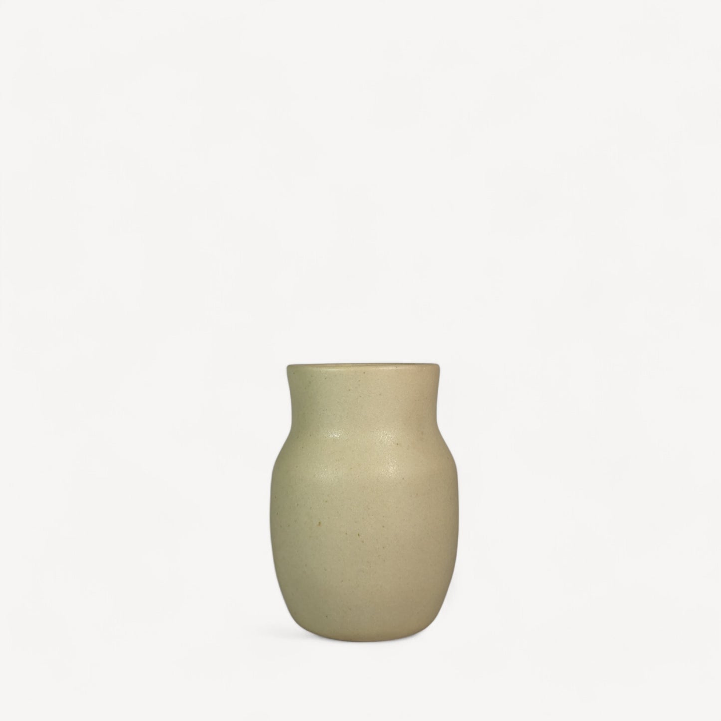 Ivy Ceramic Pot