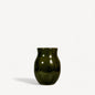 Ivy Ceramic Pot