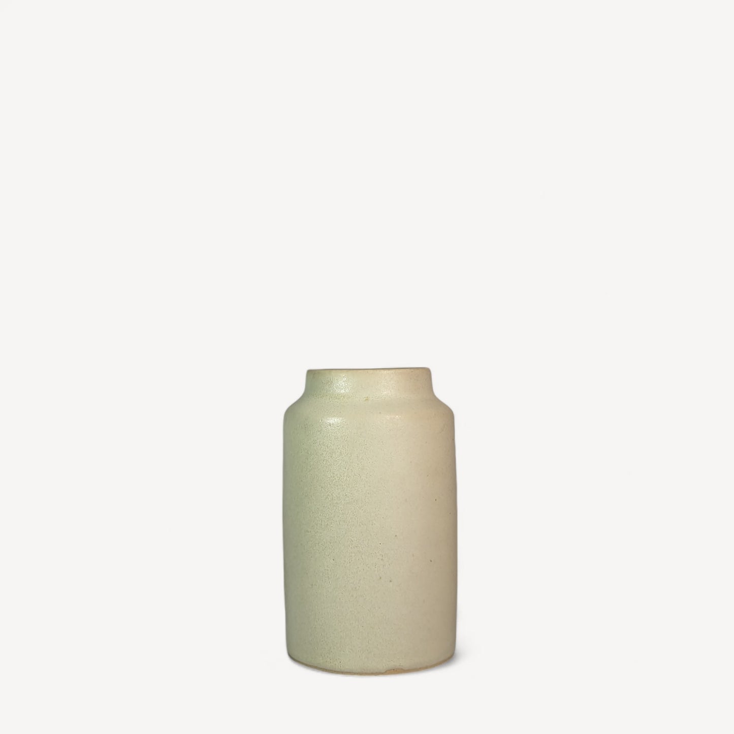 Leo Ceramic Pot