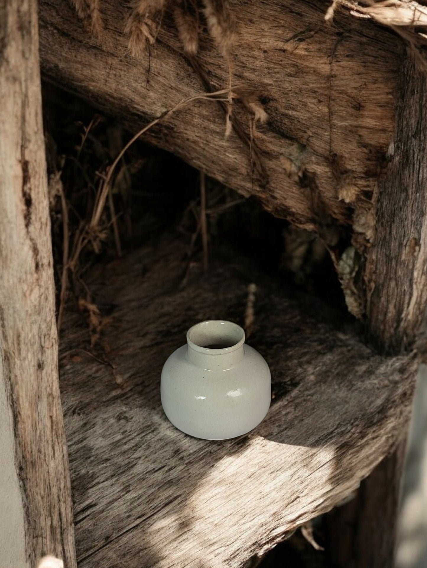 Solea Ceramic Pot