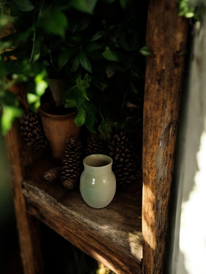 Ivy Ceramic Pot