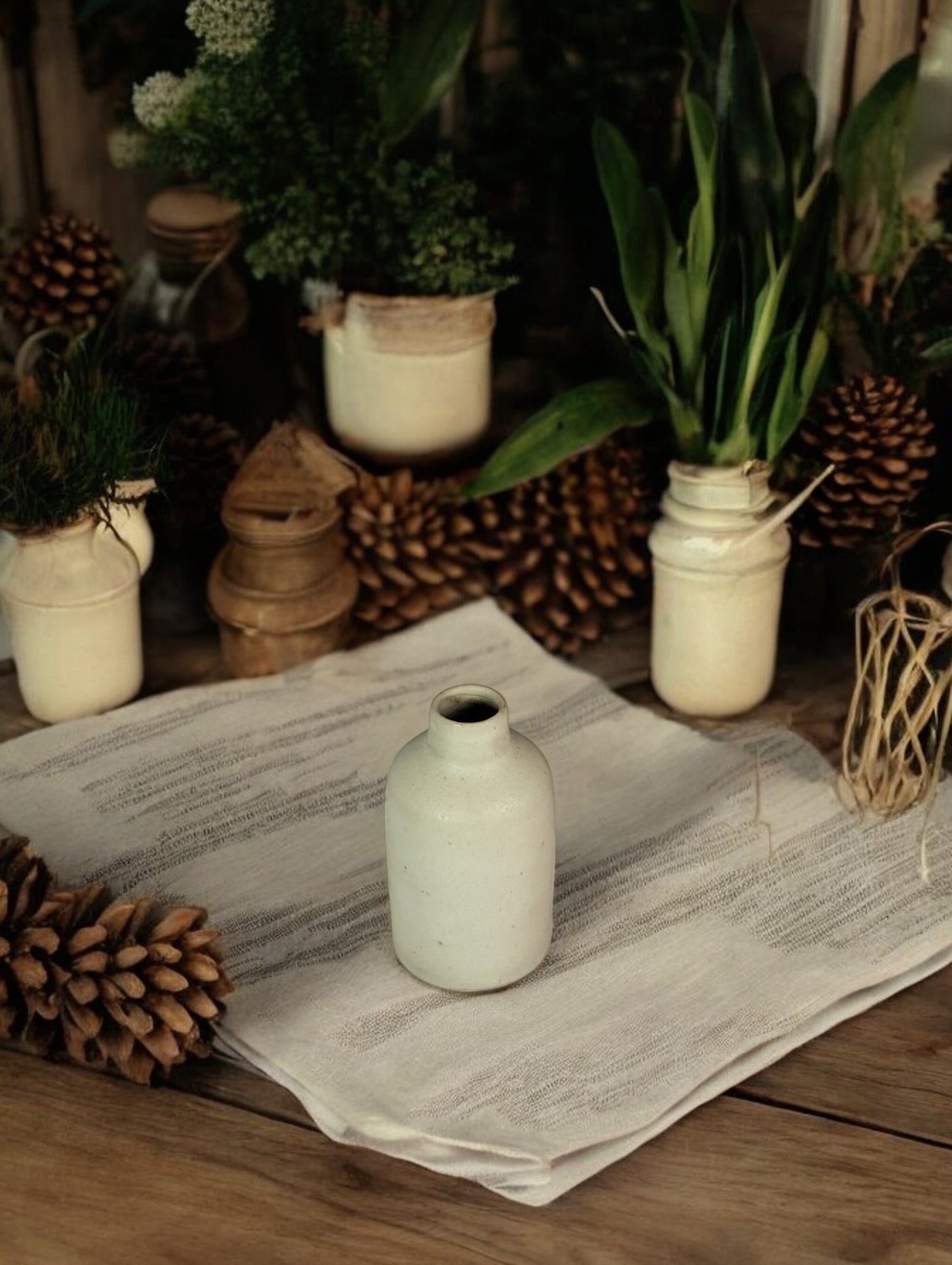 Enoch Ceramic Pot