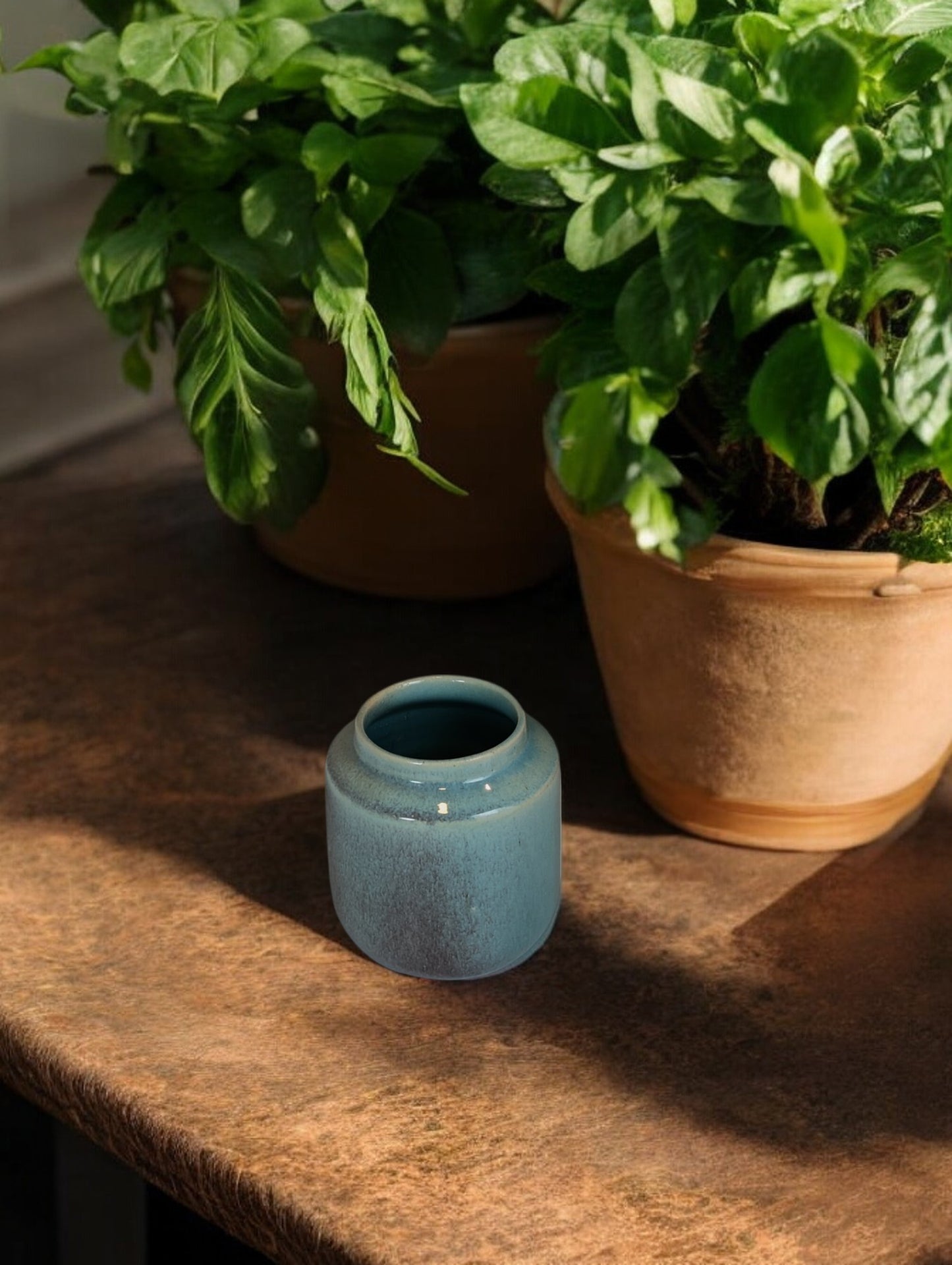 Sylva Ceramic Pot