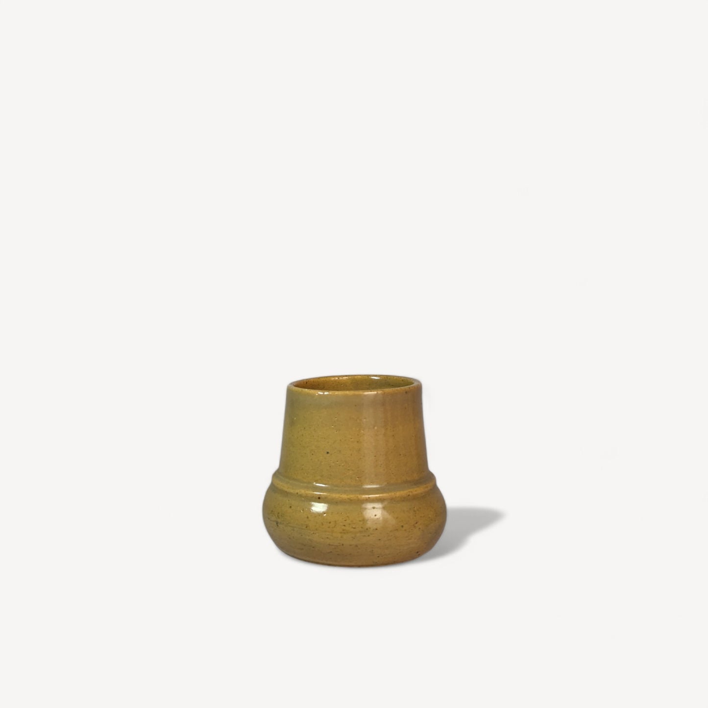 Aurea Ceramic Pot